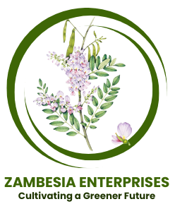Zambesia ENterprises Ltd